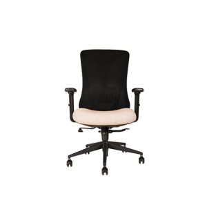 صندلی کارشناسی آراز گلدسیت MESH EZ 2301 S
