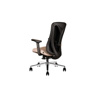 صندلی کارشناسی آراز گلدسیت MESH EZ 2301 SK