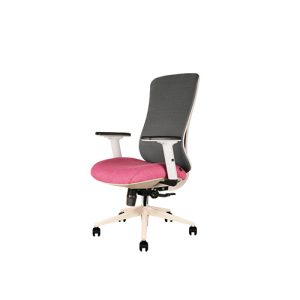 صندلی کارشناسی آراز گلدسیت MESH EZ 2301 T