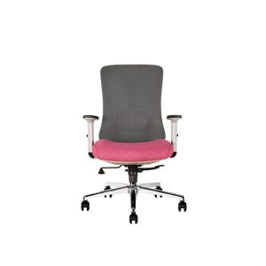 صندلی کارشناسی آراز گلدسیت MESH EZ 2301 TK